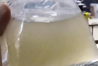 东北一男子网购50条观赏鱼,到货只有一袋水,商家:怕鱼被冻死,放了加热包,从广东发货,路太远烫熟分解了