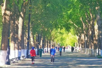 较强冷空气今起自西向东影响全国