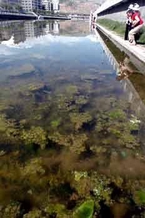 黄河污染见闻:一本触目惊心的“污染帐”(图)